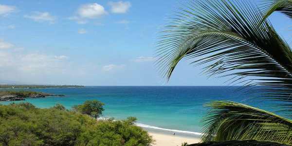 Big Island Hawaii- All contents � 2013  D. Rittner