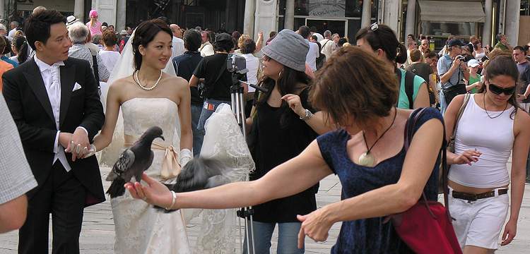 All contents � 2008  D. Rittner